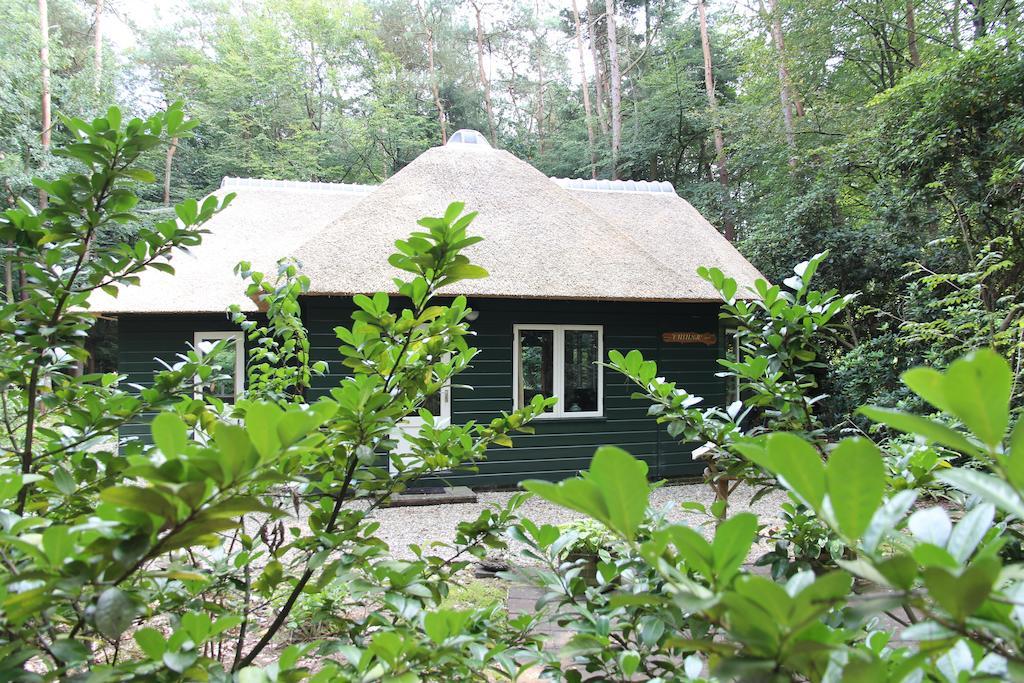 Vakantiehuis 'T Musje Epe Cameră foto