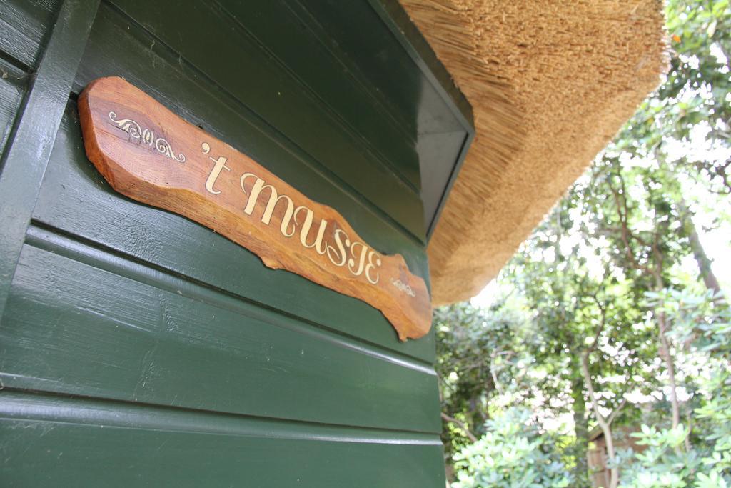 Vakantiehuis 'T Musje Epe Exterior foto